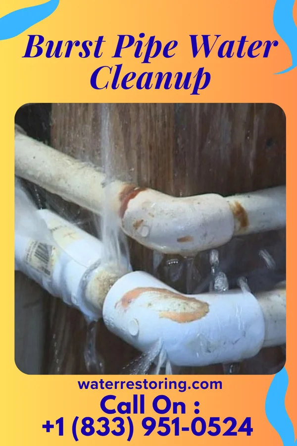 Burst Pipe Water Cleanup in Lucas Valley-Marinwood, CA