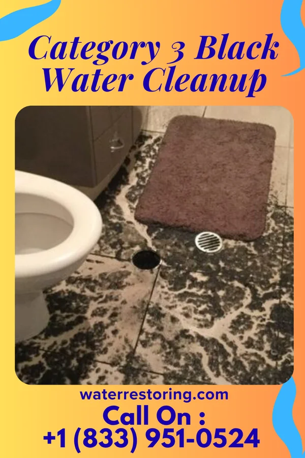 Category 3 Black Water Cleanup in Lucas Valley-Marinwood, CA
