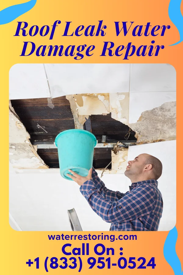 Roof Leak Water Damage Repair in Lucas Valley-Marinwood, CA
