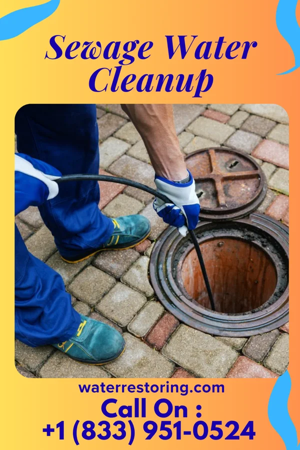 Sewage Water Cleanup in Lucas Valley-Marinwood, CA